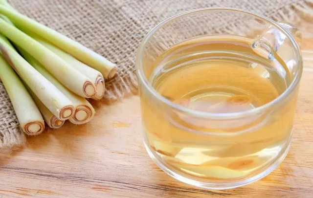 5 l&yacute; do v&igrave; sao n&ecirc;n trồng c&acirc;y sả trong nh&agrave; - Ảnh 2.
