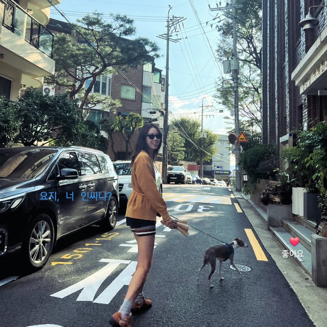 Bạn thân cao 1m72 của Son Ye Jin: Gần 30 năm trong showbiz chưa biết mặc xấu là gì- Ảnh 15.