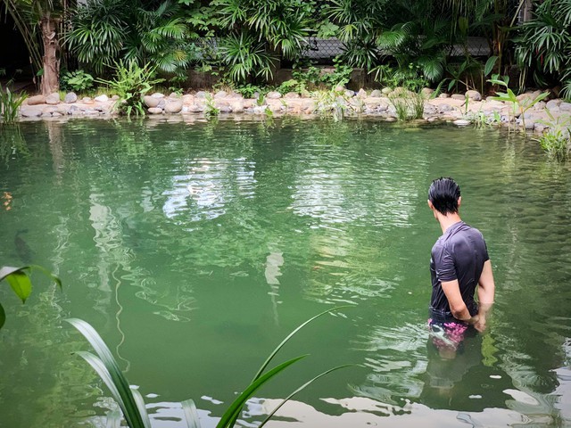 Căn nh&agrave; l&aacute; của Johnny Tr&iacute; Nguyễn- Ảnh 6.