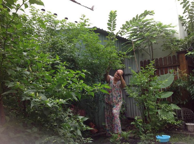Căn nhà của bố mẹ ruột Tăng Thanh Hà - Ảnh 1.