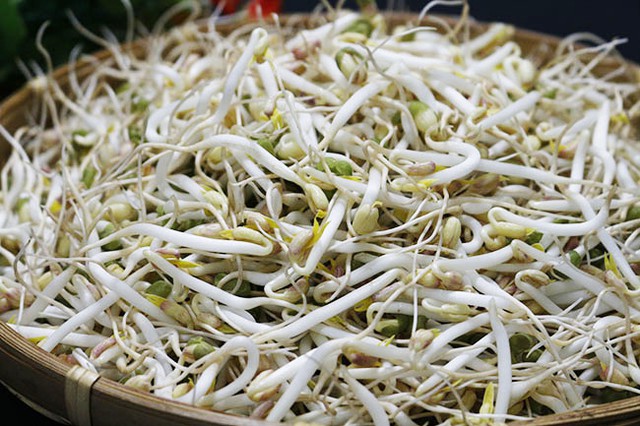 Đừng vội vứt bỏ! Những thực phẩm n&agrave;y khi nảy mầm c&oacute; thể tăng gi&aacute; trị dinh dưỡng - Ảnh 2.
