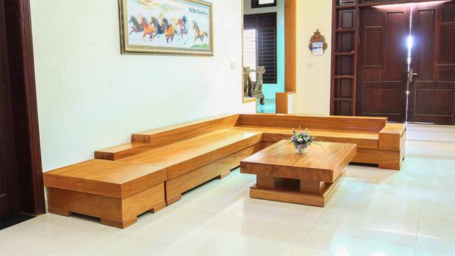 Pha bắt mọt gỗ đỉnh cao giúp dân tình được khai sáng: Hoá ra sinh vật này có hình thù không như chúng ta tưởng - Ảnh 3.