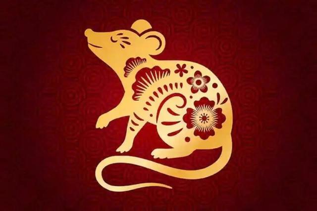 Điểm yếu của người tuổi Tý - Ảnh 1.