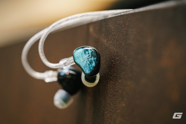 Kiwi Ears Stardust - Ảnh 1.