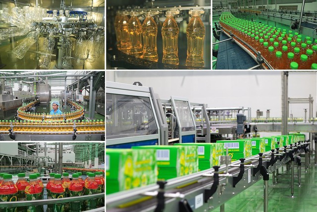Doanh nghiệp Việt lớn l&ecirc;n thế n&agrave;o trong một m&ocirc;i trường thể chế đang đổi mới?   - Ảnh 3.