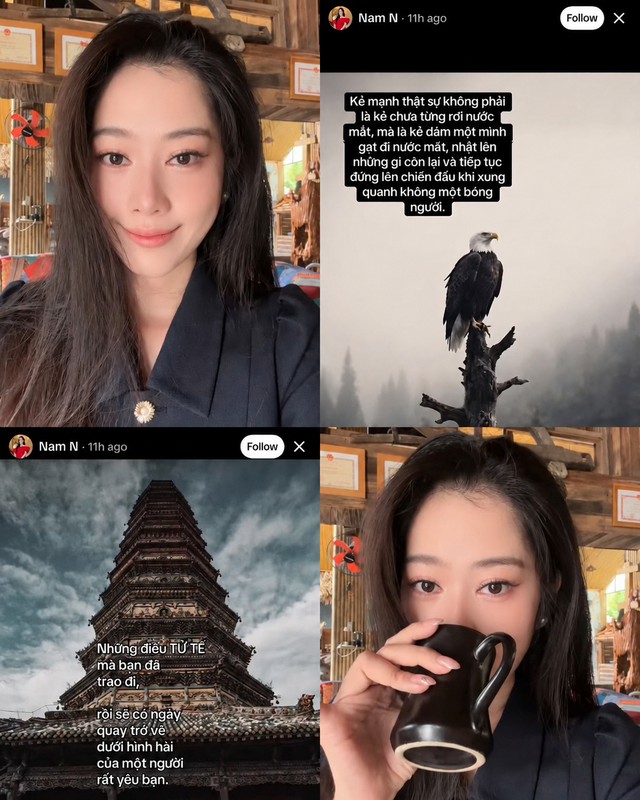 Nam Em lại có hành động khó hiểu - Ảnh 2.