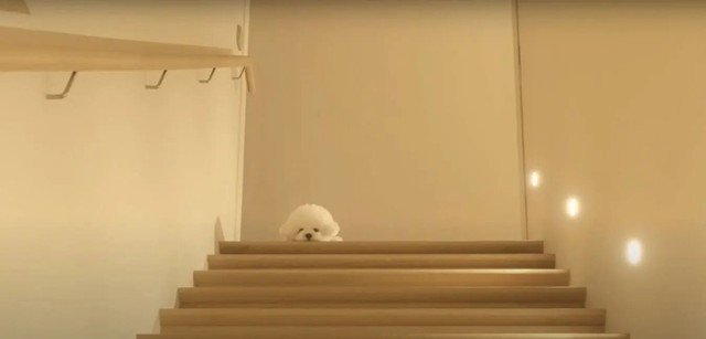 Hình ảnh hiếm hoi về căn nhà của Song Hye Kyo - Ảnh 5.