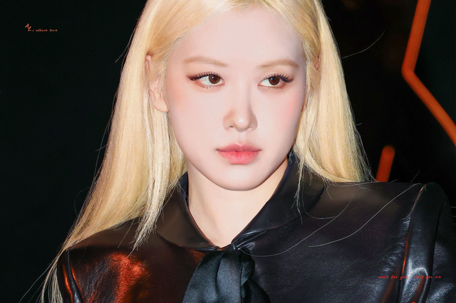 Ros&eacute; (BLACKPINK) đi v&agrave;o lối m&ograve;n- Ảnh 4.