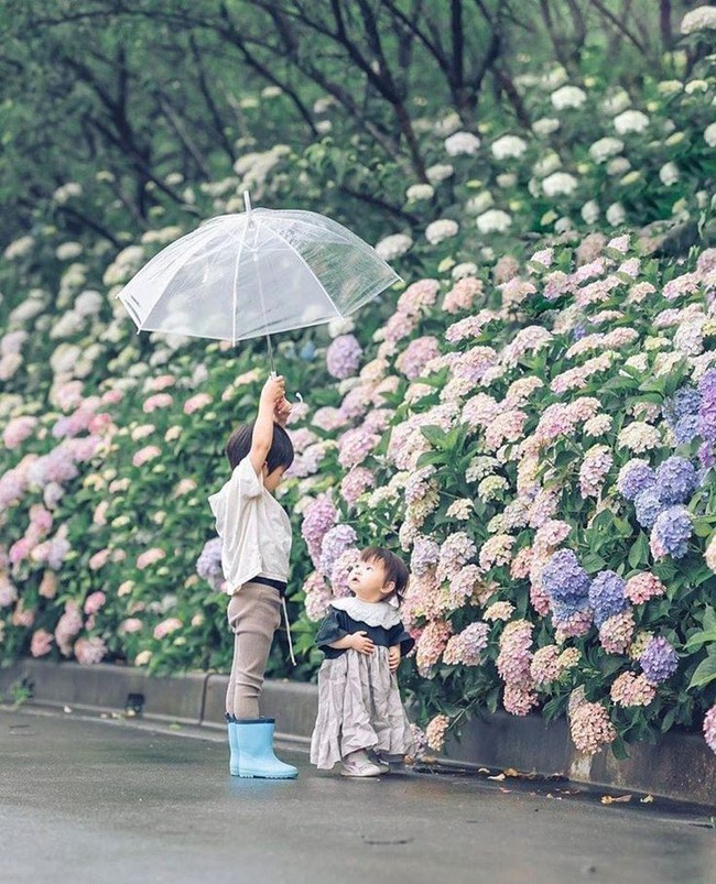 Dấu hiệu của một đứa con HIẾU THẢO- Ảnh 2. Dấu hiệu của một đứa con HIẾU THẢO- Ảnh 2.