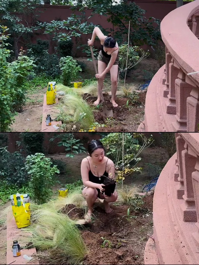 Tiên nữ thích mặc hở giờ hóa phú bà sống trong biệt thự 20.000m2, nuôi chó 21 tỷ- Ảnh 37. Tiên nữ thích mặc hở giờ hóa phú bà sống trong biệt thự 20.000m2, nuôi chó 21 tỷ- Ảnh 37.