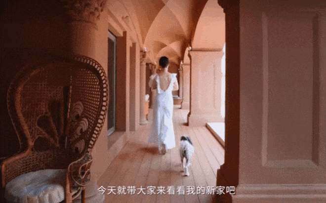 Tiên nữ thích mặc hở giờ hóa phú bà sống trong biệt thự 20.000m2, nuôi chó 21 tỷ- Ảnh 12. Tiên nữ thích mặc hở giờ hóa phú bà sống trong biệt thự 20.000m2, nuôi chó 21 tỷ- Ảnh 12.