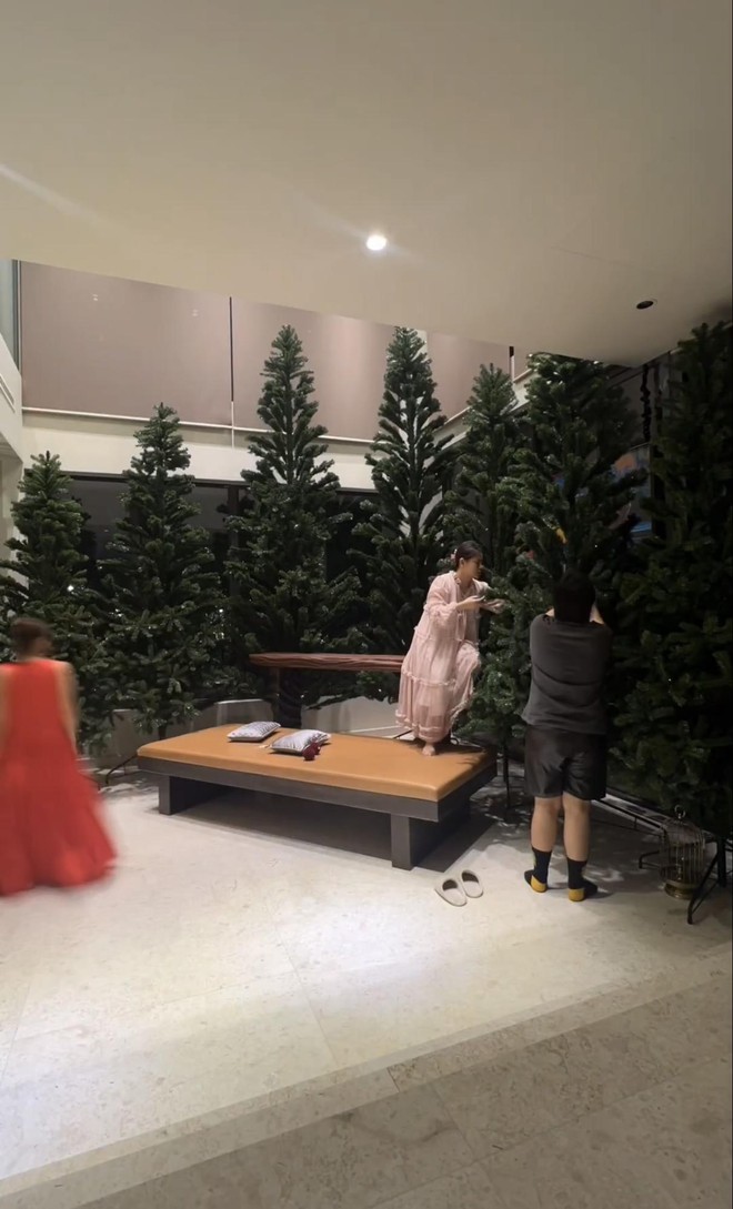 Rich Kid Gia Kỳ mua cả "rừng" thông trang trí Noel, Madame Hồng diện đồ "cực cháy" hướng dẫn xông nhà cuối năm- Ảnh 2. Rich Kid Gia Kỳ mua cả "rừng" thông trang trí Noel, Madame Hồng diện đồ "cực cháy" hướng dẫn xông nhà cuối năm- Ảnh 2.