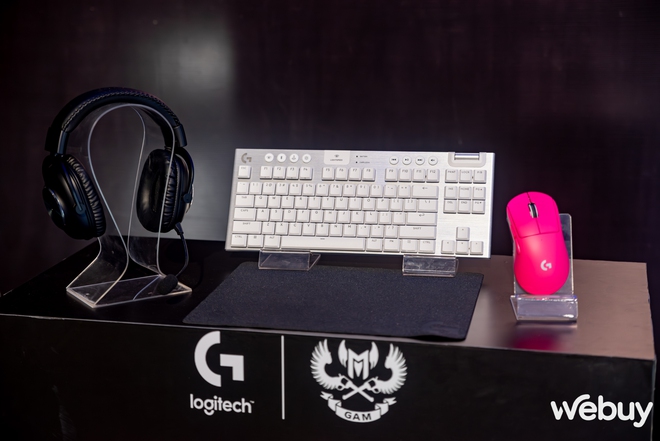 Fan GAM Esports háo hức gửi lời chúc đến thần tượng trước Chung kết Thế giới tại Logi PLAY 2024- Ảnh 3.