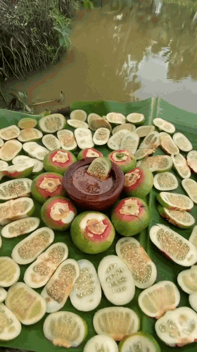 Loại quả "khổ nhất Việt Nam" chỉ miền Tây mới có- Ảnh 3. Loại quả "khổ nhất Việt Nam" chỉ miền Tây mới có- Ảnh 3.