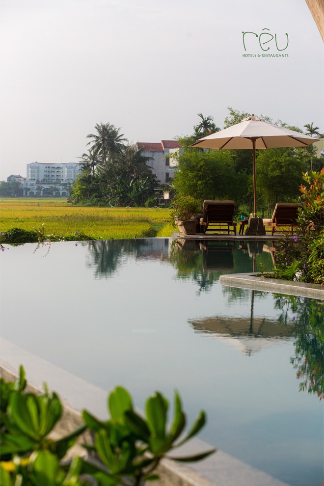 Theo chân Tóc Tiên về Hội An: Ở chỗ này thơm mùi lúa, yên bình tới mức chỉ muốn ở mãi không về- Ảnh 5. Theo chân Tóc Tiên về Hội An: Ở chỗ này thơm mùi lúa, yên bình tới mức chỉ muốn ở mãi không về- Ảnh 5.