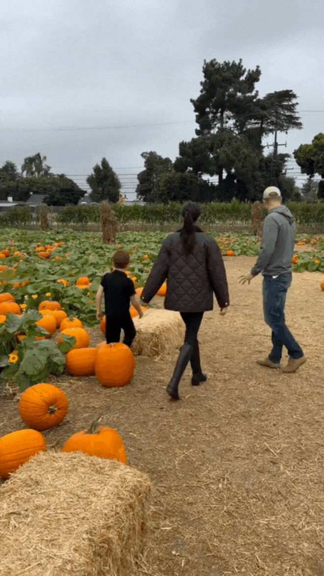 Meghan Markle tung video hiếm: Hai con Archie – Lilibet vui chơi giữa nông trại, Vương tử Harry “thợ khắc bí ngô” chính hiệu!- Ảnh 2. Meghan Markle tung video hiếm: Hai con Archie – Lilibet vui chơi giữa nông trại, Vương tử Harry “thợ khắc bí ngô” chính hiệu!- Ảnh 2.