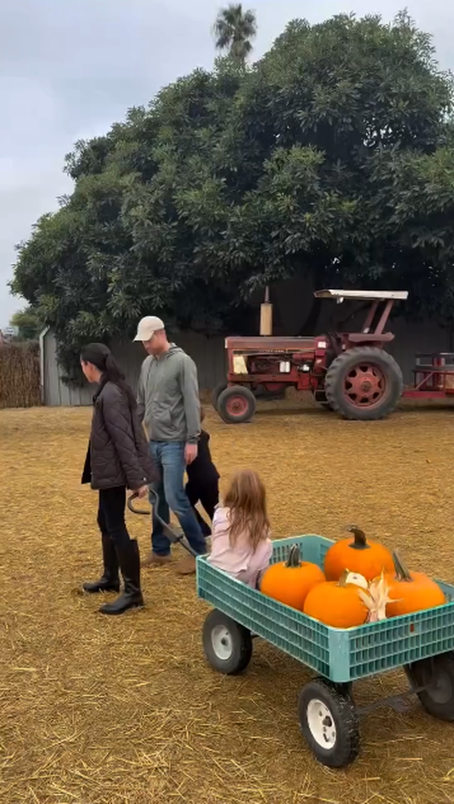Meghan Markle tung video hiếm: Hai con Archie – Lilibet vui chơi giữa nông trại, Vương tử Harry “thợ khắc bí ngô” chính hiệu!- Ảnh 6. Meghan Markle tung video hiếm: Hai con Archie – Lilibet vui chơi giữa nông trại, Vương tử Harry “thợ khắc bí ngô” chính hiệu!- Ảnh 6.