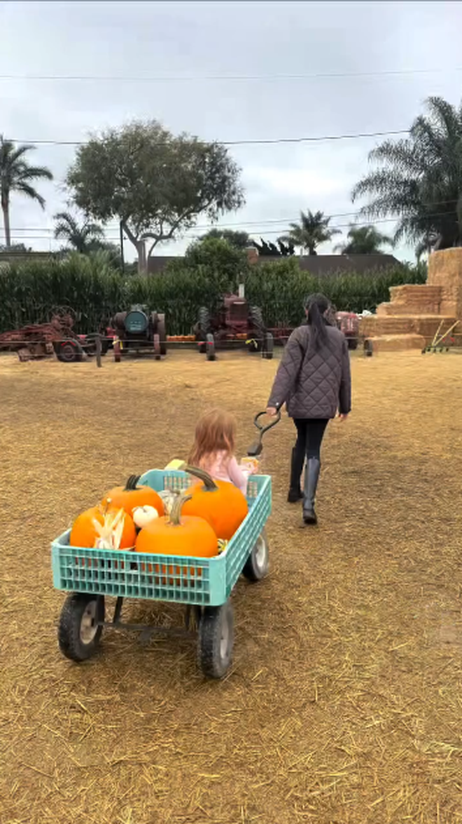 Meghan Markle tung video hiếm: Hai con Archie – Lilibet vui chơi giữa nông trại, Vương tử Harry “thợ khắc bí ngô” chính hiệu!- Ảnh 5. Meghan Markle tung video hiếm: Hai con Archie – Lilibet vui chơi giữa nông trại, Vương tử Harry “thợ khắc bí ngô” chính hiệu!- Ảnh 5.