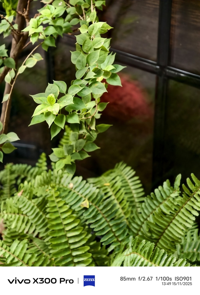 Trải nghiệm OriginOS 6 trên vivo X300 Pro: Có thực sự mượt, ngon như “nguyên bản”?- Ảnh 27.