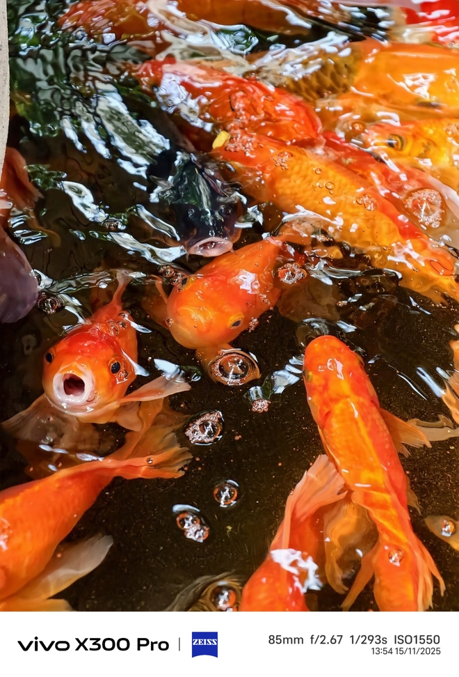 Trải nghiệm OriginOS 6 trên vivo X300 Pro: Có thực sự mượt, ngon như “nguyên bản”?- Ảnh 26.