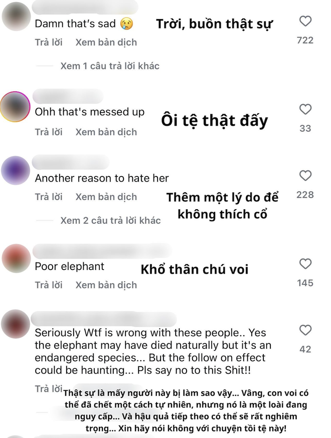 Kim Kardashian hứng chịu b&atilde;o phẫn nộ v&igrave; cầm t&uacute;i Herm&egrave;s da voi- Ảnh 5.