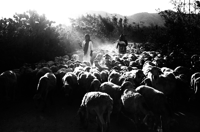 Triển lãm Nắng: Khi ánh sáng không chỉ chiếu rọi cảnh vật, mà còn rọi sâu vào tâm trí- Ảnh 4.