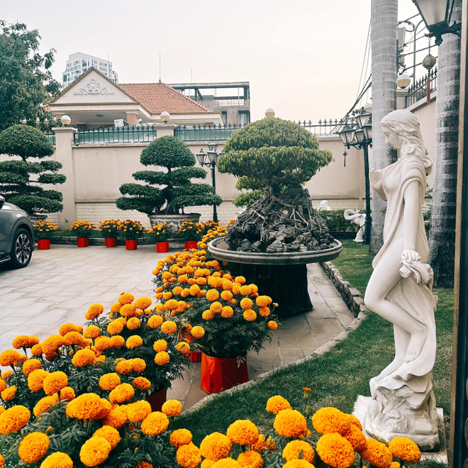Loài hoa mà nhà tỷ phú "Vua hàng hiệu" cực yêu thích, hai nàng dâu Hà Tăng - Linh Rin năm nào cũng mua phủ đầy sân biệt thự- Ảnh 7. Loài hi88.com đăng nhập mà nhà tỷ phú "Vua hàng hiệu" cực yêu thích, hai nàng dâu Hà Tăng - Linh Rin năm nào cũng mua phủ đầy sân biệt thự- Ảnh 7.