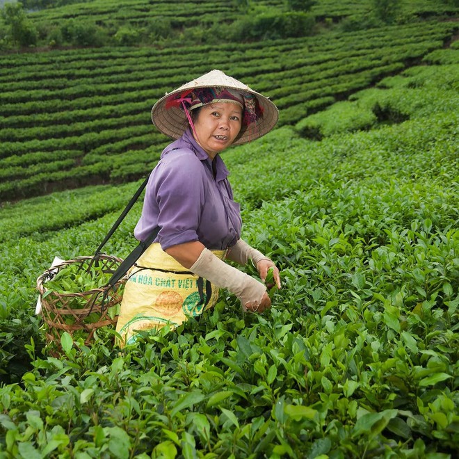 Có một Việt Nam “được lòng thế giới” đến vậy: Hội An, Côn Đảo lên bảng vàng hiếu khách 2025- Ảnh 14. Có một Việt Nam “được lòng thế giới” đến vậy: Hội An, Côn Đảo lên bảng vàng hiếu khách 2025- Ảnh 14.