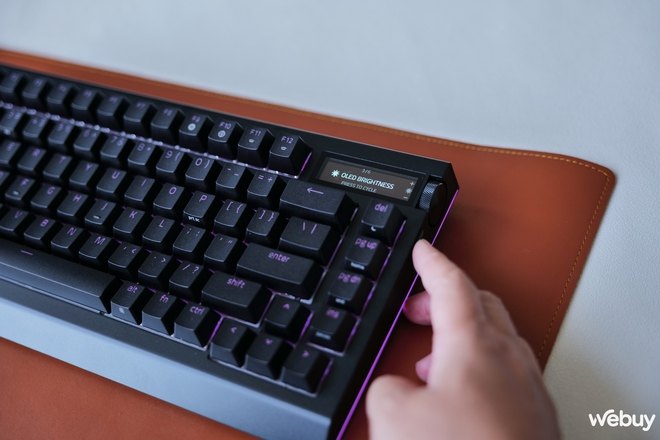Trên tay bàn phím gaming Blackwidow V4 Pro: Khi Razer 'tất tay' với vỏ nhôm, màn hình OLED và switch 'nhà làm'- Ảnh 16.