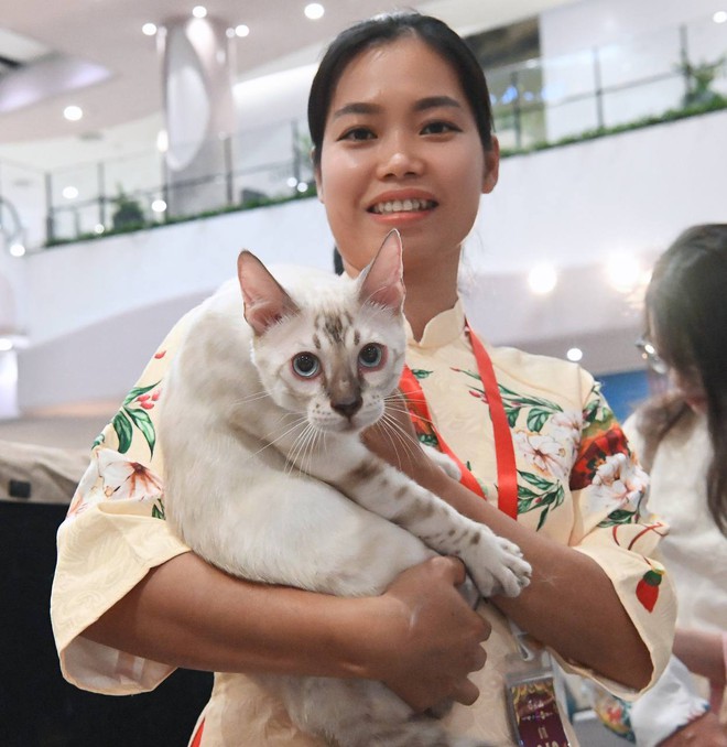 Hội cô, cậu chủ mặc Việt phục, trang điểm từ 12h đêm để sáng sớm để đưa "hoàng thượng... hồi cung"- Ảnh 16.