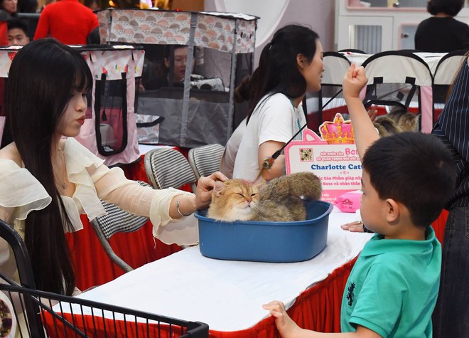 Hội cô, cậu chủ mặc Việt phục, trang điểm từ 12h đêm để sáng sớm để đưa "hoàng thượng... hồi cung"- Ảnh 14.