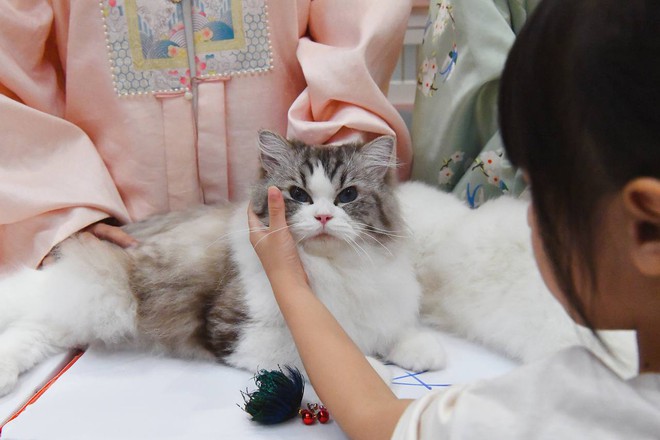 Hội cô, cậu chủ mặc Việt phục, trang điểm từ 12h đêm để sáng sớm để đưa "hoàng thượng... hồi cung"- Ảnh 1.