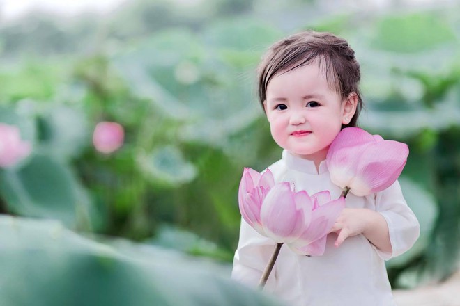 Hội Hội
