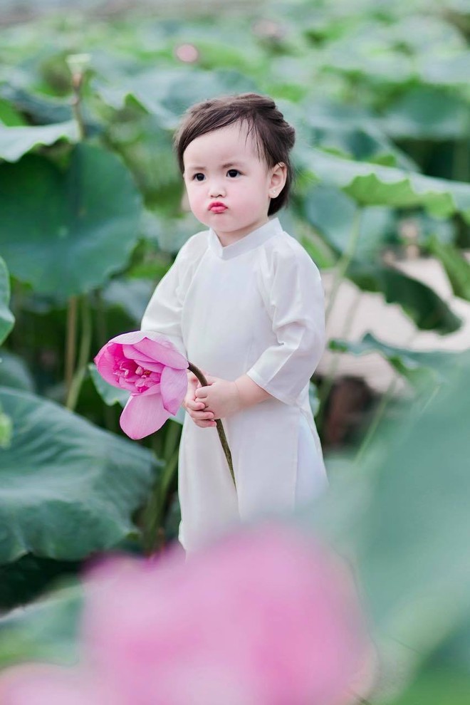 Hội Hội