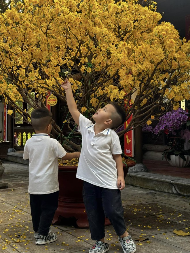 Hội Hội