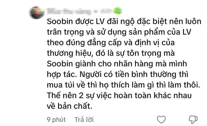 Fan Sơn Tùng M-TP và Soobin “khẩu chiến” căng đét vì chiếc túi LV 300 triệu đựng măng cụt- Ảnh 10.