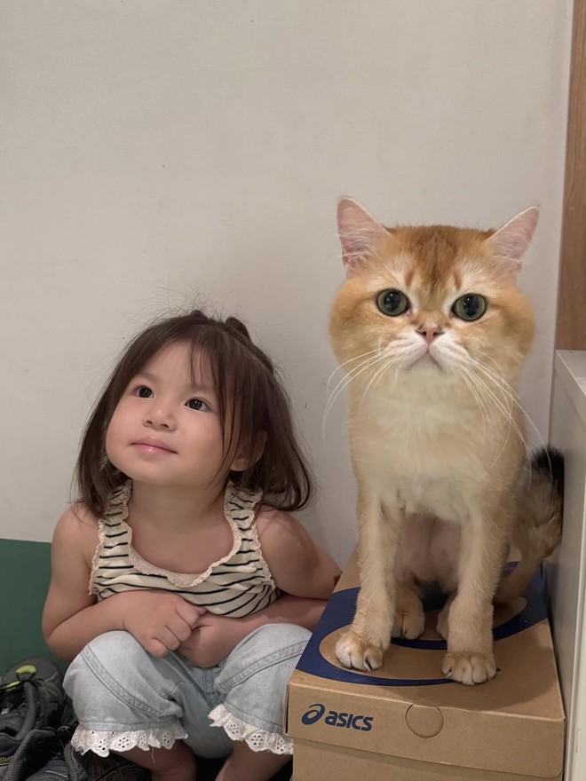 Không hổ danh "chiến thần meme", Pam lại gây sốt với chỉ 1 cái "hứ"! - Ảnh 2. Không hổ danh "chiến thần meme", Pam lại gây sốt với chỉ 1 cái "hứ"! - Ảnh 2.