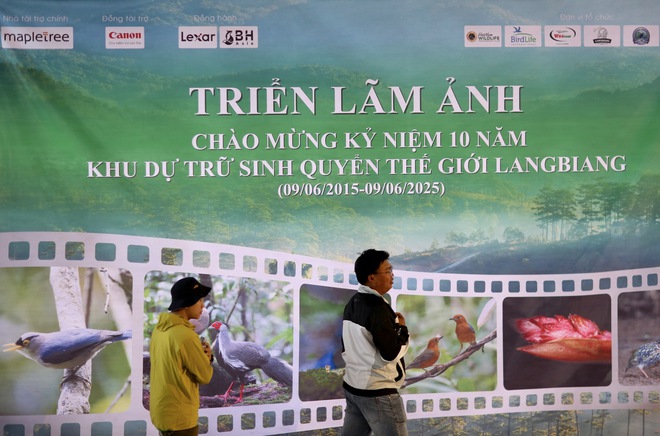 Vietnam BirdRace 2025: Những cánh chim kết nối thế giới từ Bidoup – Núi Bà- Ảnh 18. Vietnam BirdRace 2025: Những cánh tại hi88 kết nối thế giới từ Bidoup – Núi Bà- Ảnh 18.