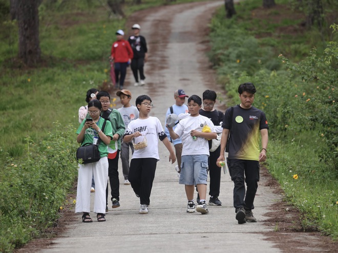 Vietnam BirdRace 2025: Những cánh chim kết nối thế giới từ Bidoup – Núi Bà- Ảnh 17. Vietnam BirdRace 2025: Những cánh tại hi88 kết nối thế giới từ Bidoup – Núi Bà- Ảnh 17.