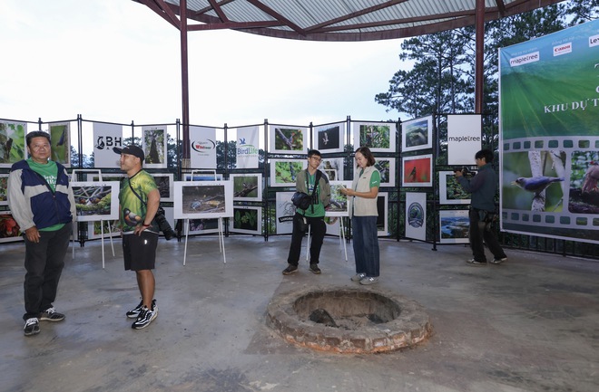 Vietnam BirdRace 2025: Những cánh chim kết nối thế giới từ Bidoup – Núi Bà- Ảnh 19. Vietnam BirdRace 2025: Những cánh tại hi88 kết nối thế giới từ Bidoup – Núi Bà- Ảnh 19.