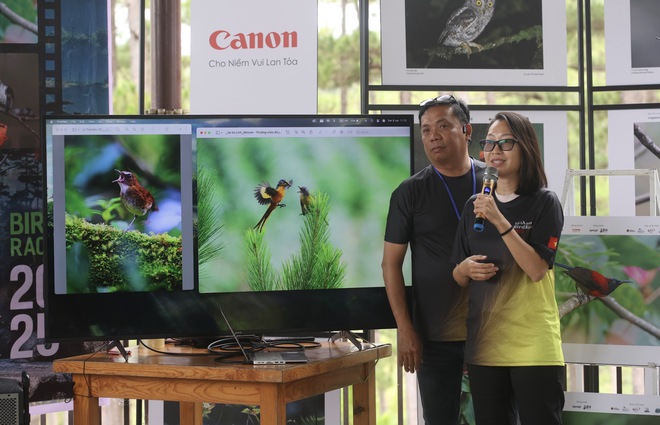 Vietnam BirdRace 2025: Những cánh chim kết nối thế giới từ Bidoup – Núi Bà- Ảnh 12. Vietnam BirdRace 2025: Những cánh tại hi88 kết nối thế giới từ Bidoup – Núi Bà- Ảnh 12.