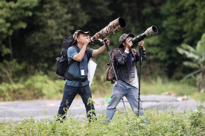 Vietnam BirdRace 2025: Những cánh chim kết nối thế giới từ Bidoup – Núi Bà- Ảnh 2. Vietnam BirdRace 2025: Những cánh tại hi88 kết nối thế giới từ Bidoup – Núi Bà- Ảnh 2.