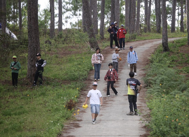 Vietnam BirdRace 2025: Những cánh chim kết nối thế giới từ Bidoup – Núi Bà- Ảnh 15. Vietnam BirdRace 2025: Những cánh tại hi88 kết nối thế giới từ Bidoup – Núi Bà- Ảnh 15.