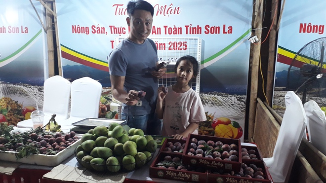 Tỉnh có vựa trái cây lớn nhất miền Bắc tổ chức Tuần lễ Mận và nông sản, thực phẩm an toàn năm 2025- Ảnh 6. Tỉnh có vựa trái cây lớn nhất miền Bắc tổ chức Tuần lễ Mận và nông sản, thực phẩm an toàn năm 2025- Ảnh 6.