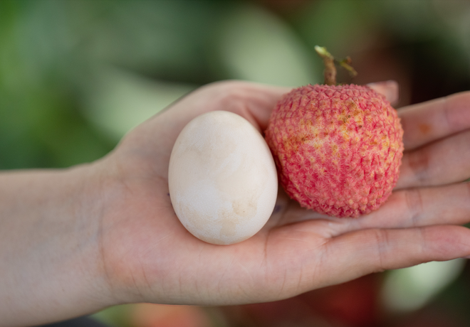Bắc Ninh ch&iacute;nh thức kh&ocirc;ng c&ograve;n l&agrave; tỉnh nhỏ nhất Việt Nam sau 1 đ&ecirc;m ngủ dậy: C&aacute;i t&ecirc;n thay thế rất đặc biệt!- Ảnh 2.