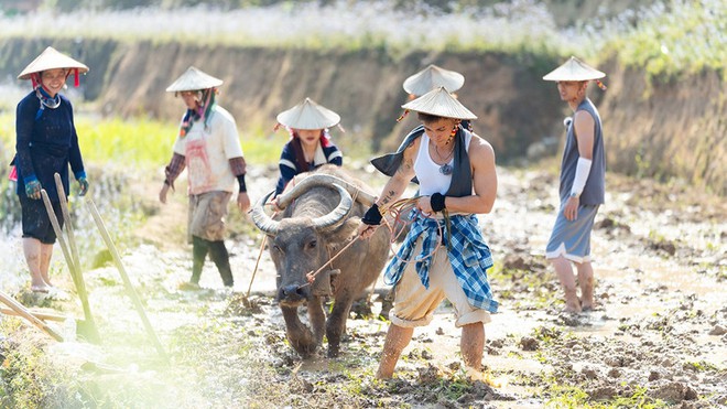Dàn cast đặc biệt trong "Gia đình Haha": Khi các "Idol bốn chân" chiếm trọn spotlight, hút triệu view với cát-xê... 0 đồng- Ảnh 8.