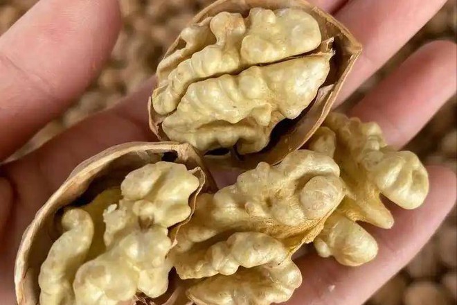 Đã tìm ra "quán quân" nuôi dưỡng trái tim: Không phải táo đỏ, mà là một cặp đôi giàu omega-3, có thể giúp trái tim "trẻ trung" lâu dài!- Ảnh 4. Đã t&ignha cai hi88ve;m nha cai hi88 "quán quân" nuôi dưỡng trái tim: Không phải táo đỏ, mà là một cặp đôi giàu omega-3, có thể giúp trái tim "trẻ trung" lâu dài!- Ảnh 4.