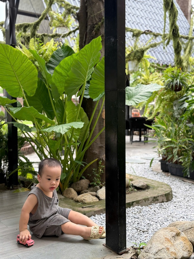 Check quán cafe "vibe" rừng nhiệt đới, rộng như khu sinh thái giữa Hải Phòng: Con chơi cả ngày không chán, mẹ "hết hơi" nhưng có đầy ảnh chill- Ảnh 4.