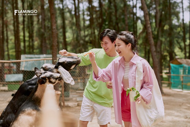 Nữ đại gia bỏ tiền tỷ đi xem show của “huyền thoại” Jimmii Nguyễn ở rừng thông được ví như “Đà Lạt thu nhỏ” của tỉnh Phú Thọ- Ảnh 4.