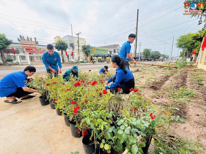 Thanh niên thành phố Hồ Chí Minh đồng loạt ra quân Ngày Chủ nhật xanh lần thứ 160 - năm 2025- Ảnh 8. Thanh niên thành phố Hồ Chí Minh đồng loạt ra quân Ngày Chủ nhật xanh lần thứ 160 - năm 2025- Ảnh 8.